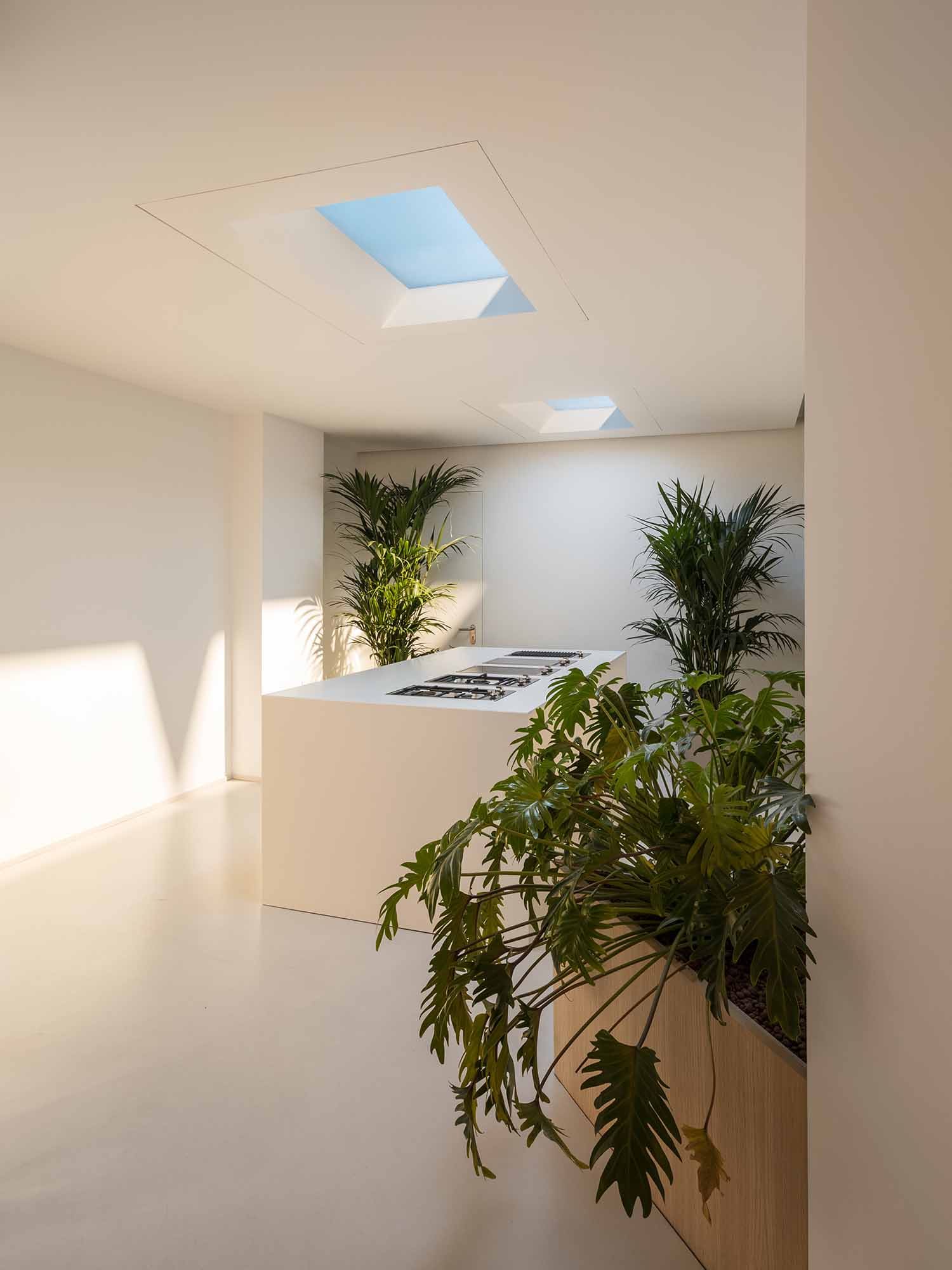 CoeLux 45 LC 1 - Diseñando un futuro sostenible en interiorismo de lujo CoeLux 45 LC 1 - Diseñando un futuro sostenible en interiorismo de lujo